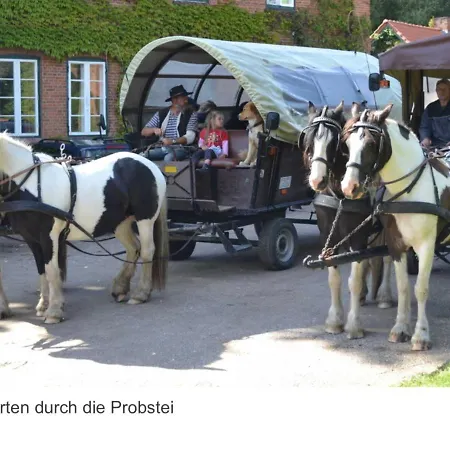 Daire Ferienwohnung Seepferdchen Schonberg