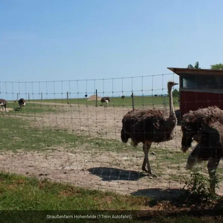 Ferienwohnung Seepferdchen Schonberg Brasilien